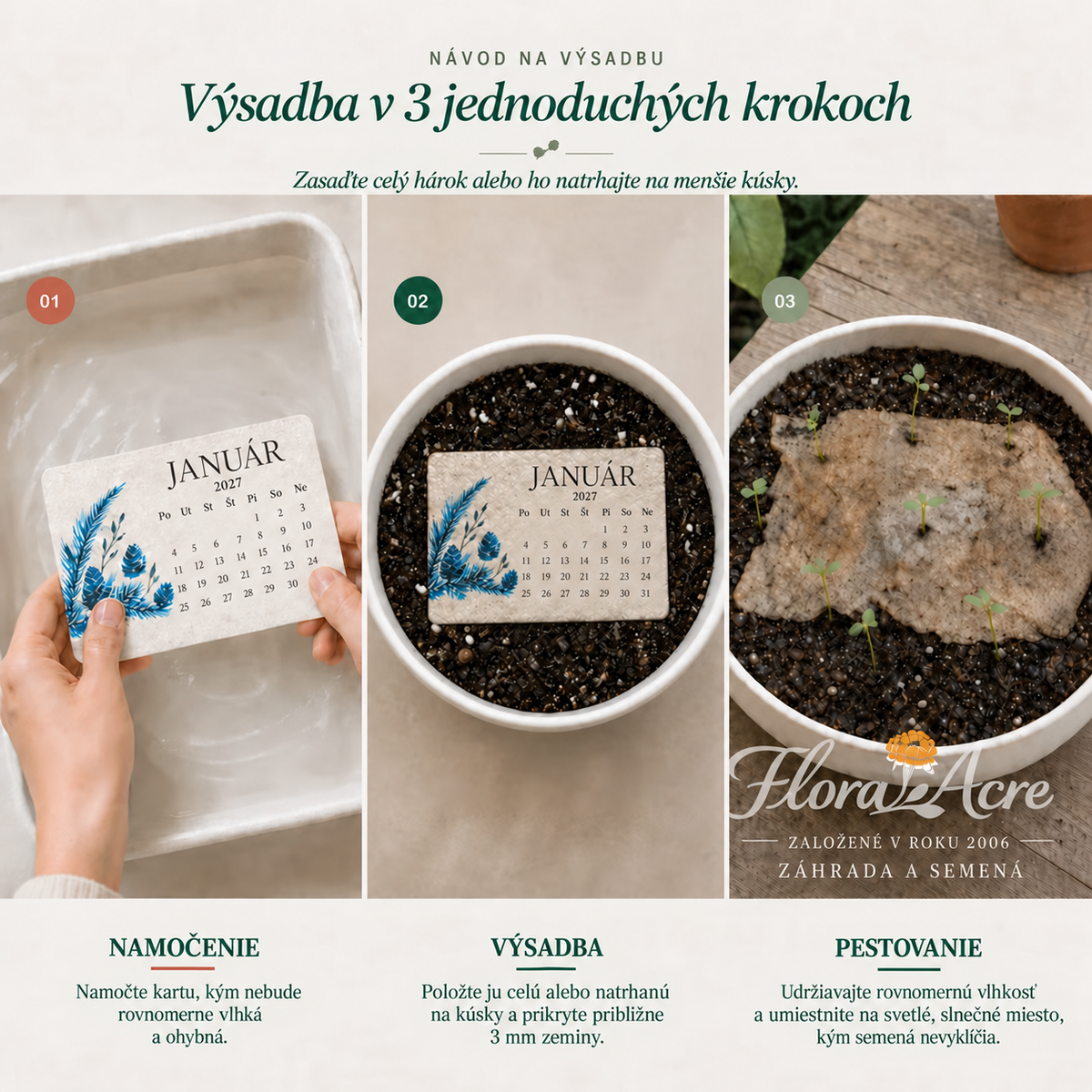 ✨Predvianočný výpredaj – zľava 50 %🌱🍃Ekologický kalendár so semienkami „Nadčasový“ (rok 2027) – možno zasadiť