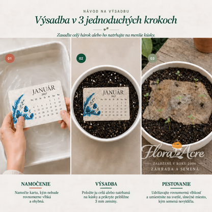 ✨Predvianočný výpredaj – zľava 50 %🌱🍃Ekologický kalendár so semienkami „Nadčasový“ (rok 2027) – možno zasadiť